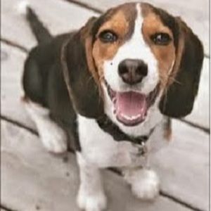 Meet your Posher, Claire